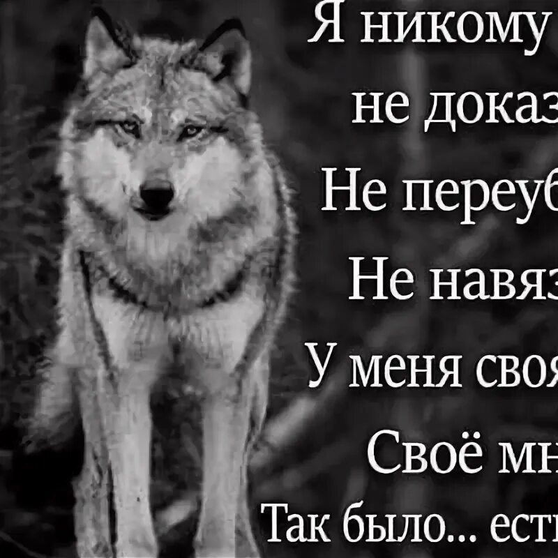 Я никому никогда не скажу. Я не собираюсь никому ничего доказывать. Не надо никому ничего доказывать цитаты. Цитаты о навязывании своего мнения. Цитаты про навязывание.