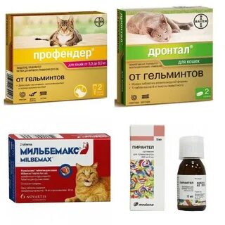Какие глистогонные препараты для кошек