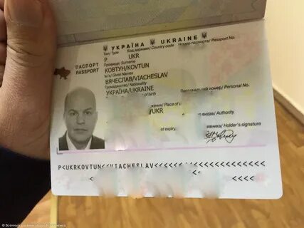 Происхождение ковтун