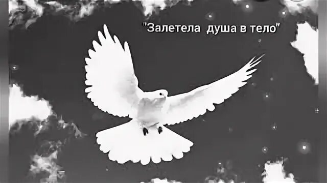 Залетела душа