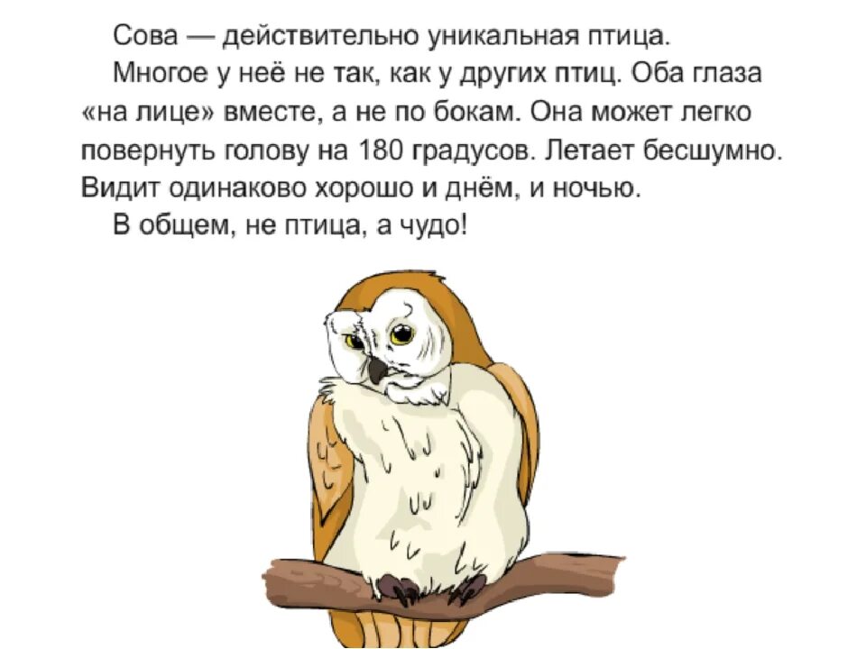 Создание текста рассуждения 3 класс