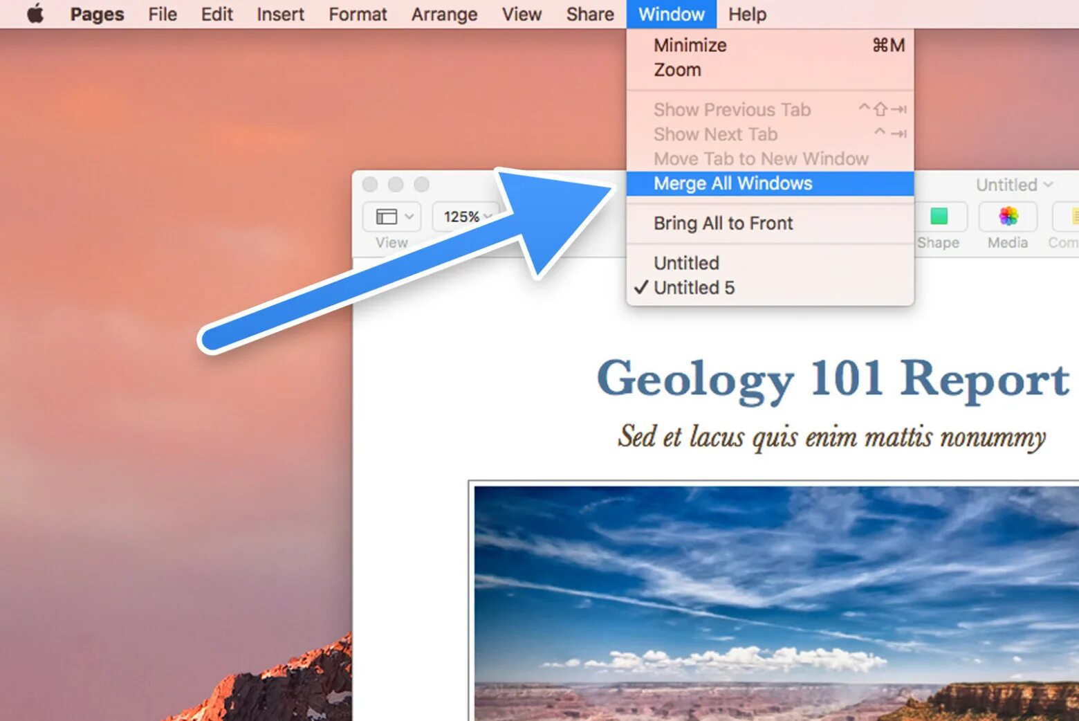 Soothe mac. Mac os вкладки. tab mac os. клавиши управления macos sierra. tabs on mac os.