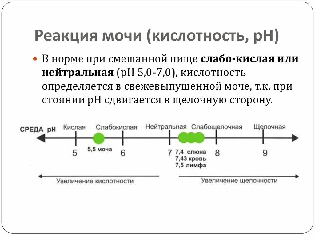 5 7 кислотность. Реакция мочи (РН) В норме. PH В моче 7.5. Показатель PH В моче норма. PH кислотность мочи норма.