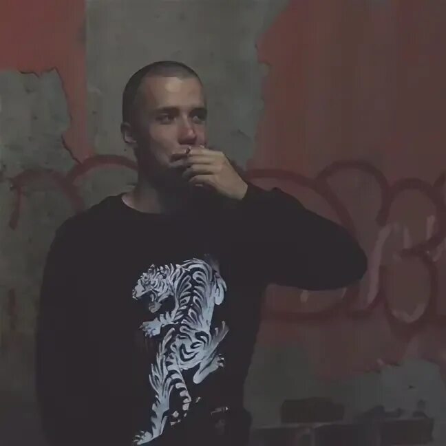 Кеша екатеринбург. Возвращение блудного попугая dvd. Кеша екатеринбург. Кеша екатеринбург. Крыскин витя балабаново.