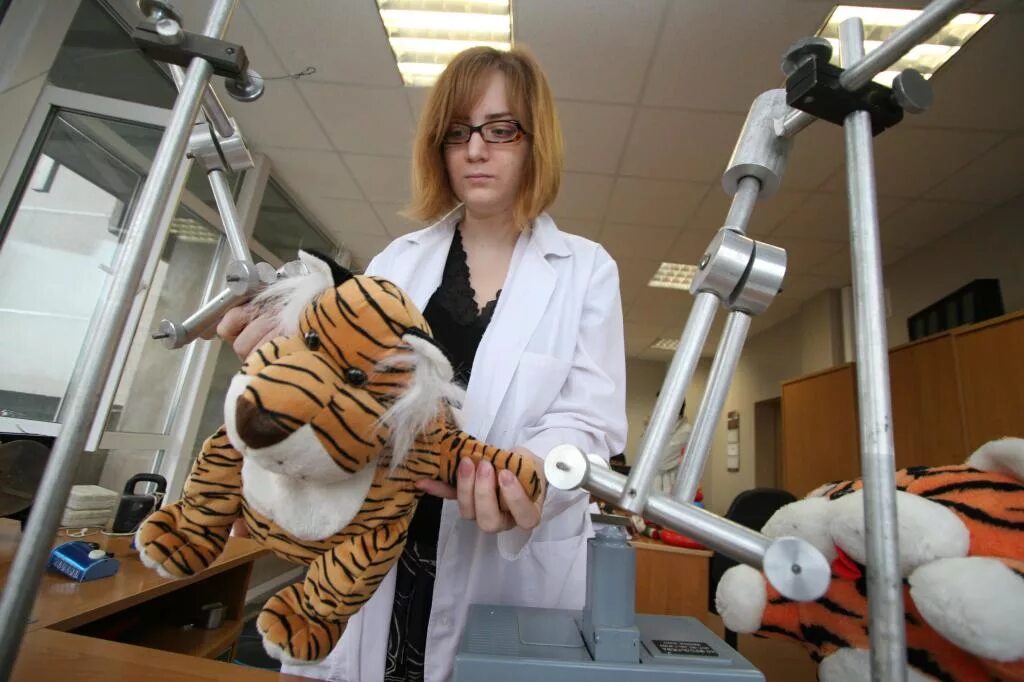 испытание игрушек. испытание игрушек. испытание игрушек. испытания игрушек. испытания игрушек.