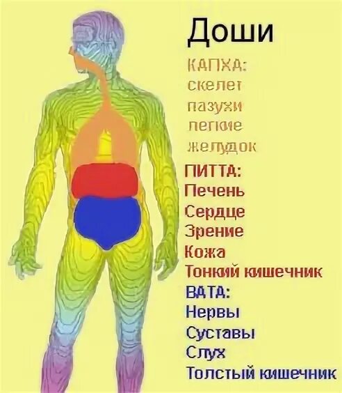 Питта состояний. Аюрведа доши. капха доша. доши аюрведа типы. аюрведа питта-вата доша.
