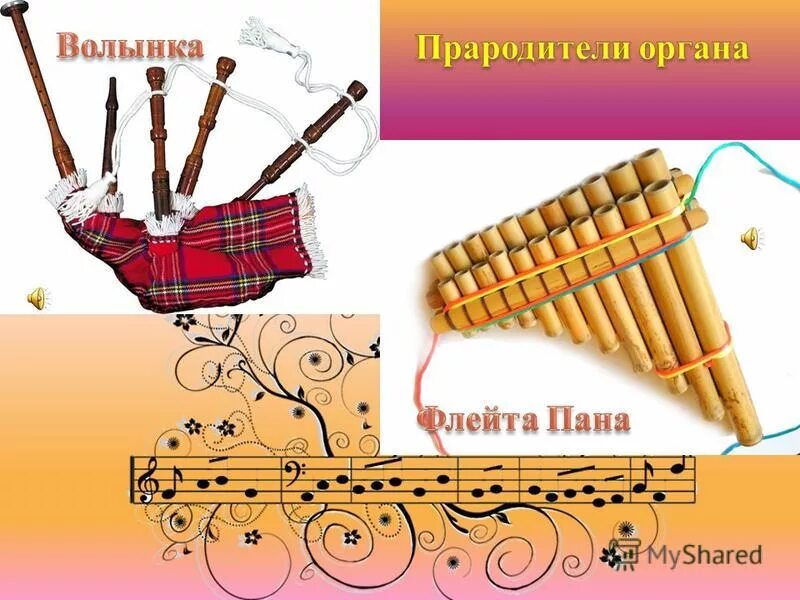 волынка описание инструмента. строение волынки. волынка духовой музыкальный инструмент шотландские. волынка духовой музыкальный инструмент. строение волынки.