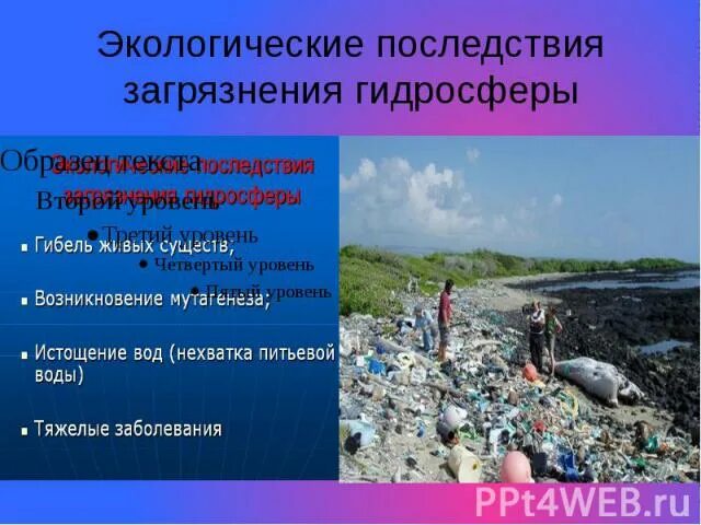 Последствия природных загрязнений. Последствия загрязнения гидросферы. Экологические последствия загрязнения гидросферы. Загрязнение гидросферы проблемы, причины, последствия. Основные экологические последствия загрязнения гидросферы.