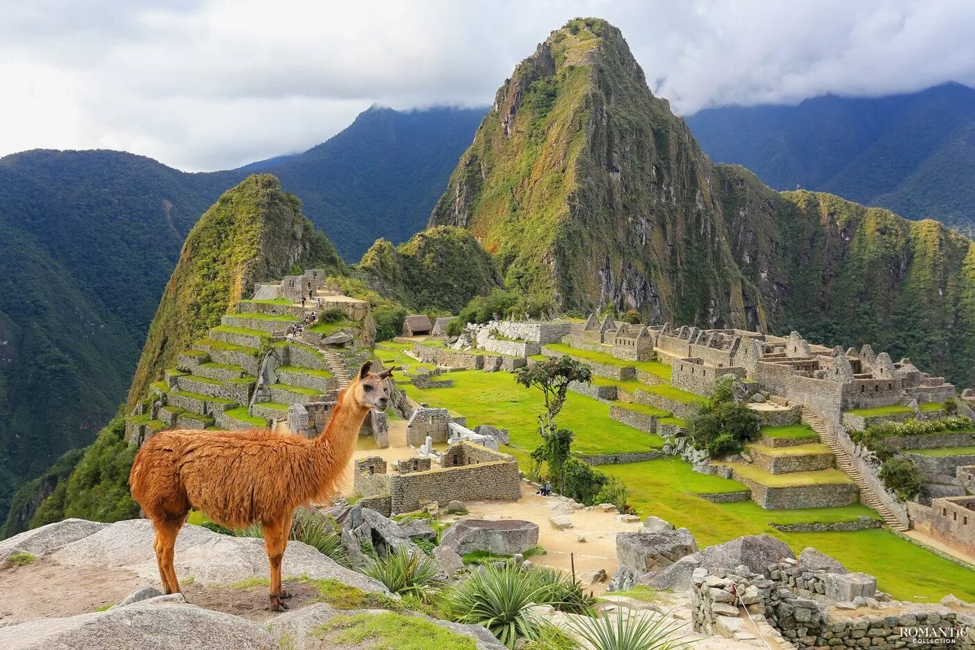 Перу описание