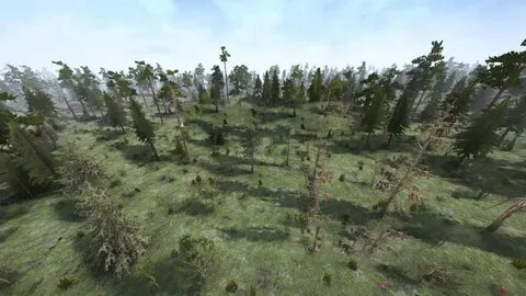 Forest edition