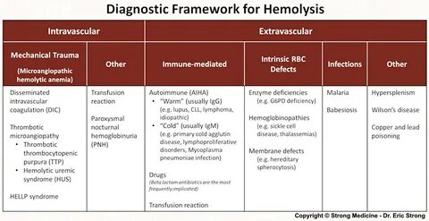 Объясните значение тэ и производящих основ haemolysis