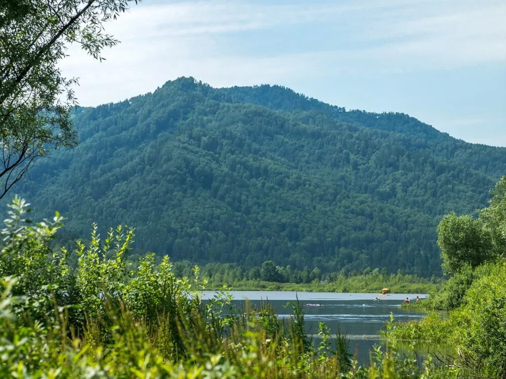 манжерок озеро алтай орех. манжерок подъемник. манжерок горный алтай. погода манжерок горный алтай на 10 дней. манжерок горный алтай достопримечательности.