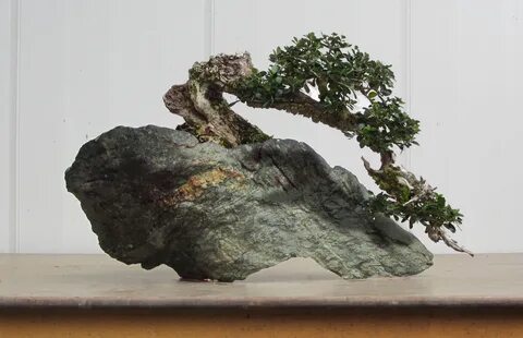 Rock planting