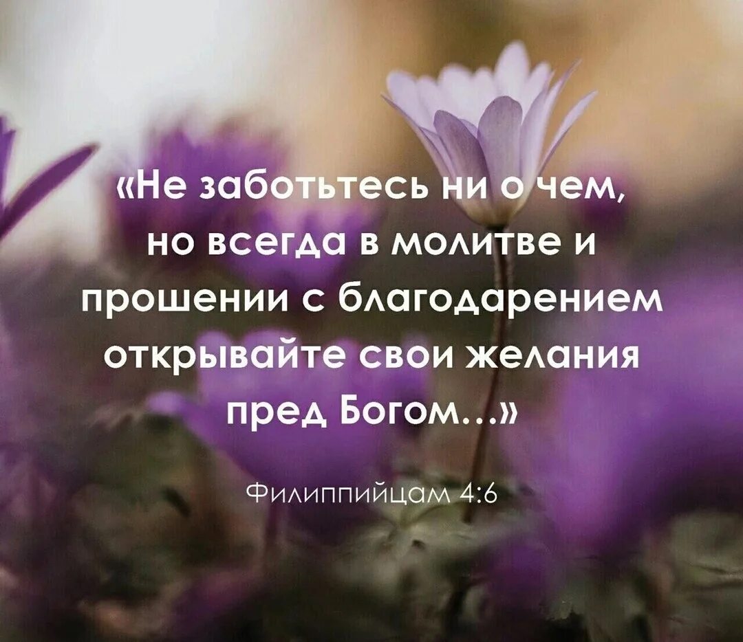 Открывайте свои желания пред богом. Открывайте с благодарением свои желания. И мир божий который превыше всякого. Открывайте с благодарением свои желания. Не заботьтесь ни о чем но всегда в молитве и прошении с благодарением.