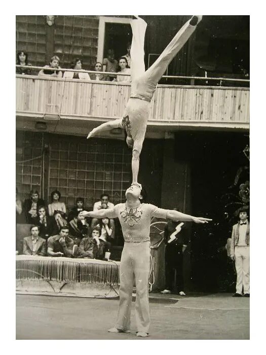 Жизнь фигня планета шарик. Илюхина стр 30-31. Буква ц цирк. Цыплята трое. Пропись илюхина чудо пропись 2 часть.