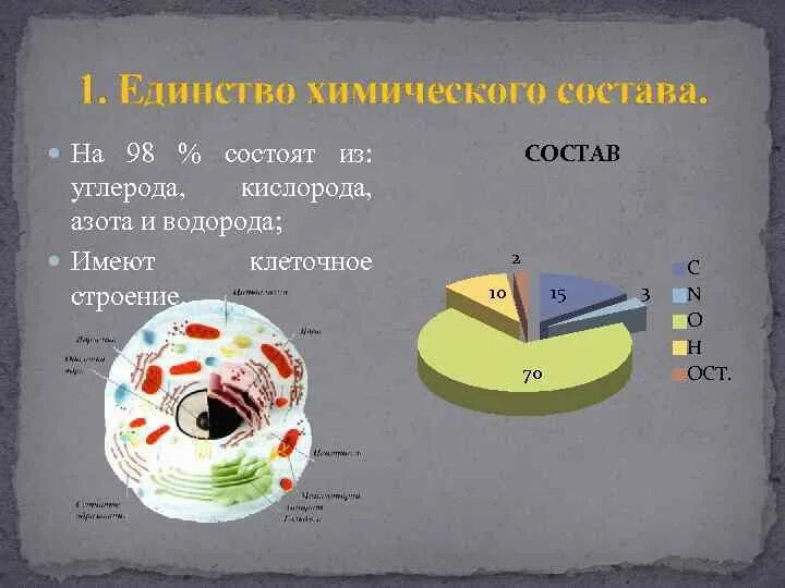 Содержат углерод кислород водород