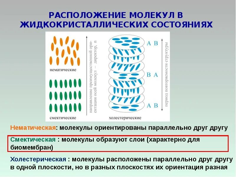 В расположении молекул аморфных тел Презентация по физике на тему "Основные положения молекулярно-кинетической теори