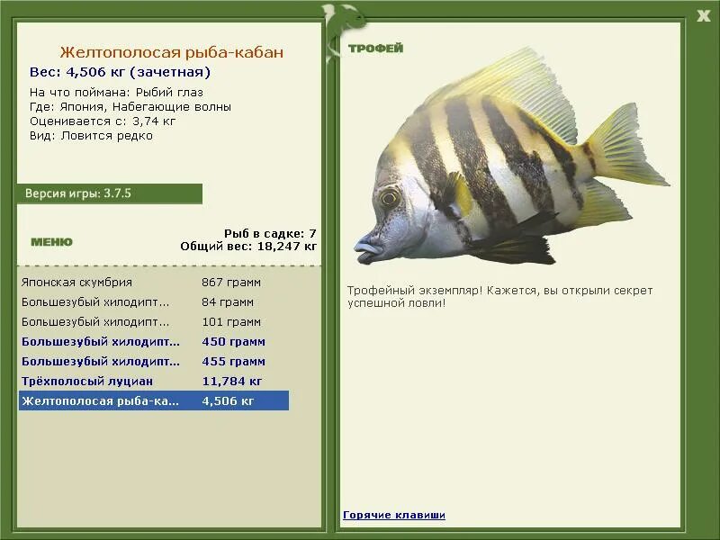 кабан рыбы совместимость. капрос рыба. кабан рыбы совместимость. карась с шипами на плавниках. кабан рыбы совместимость.
