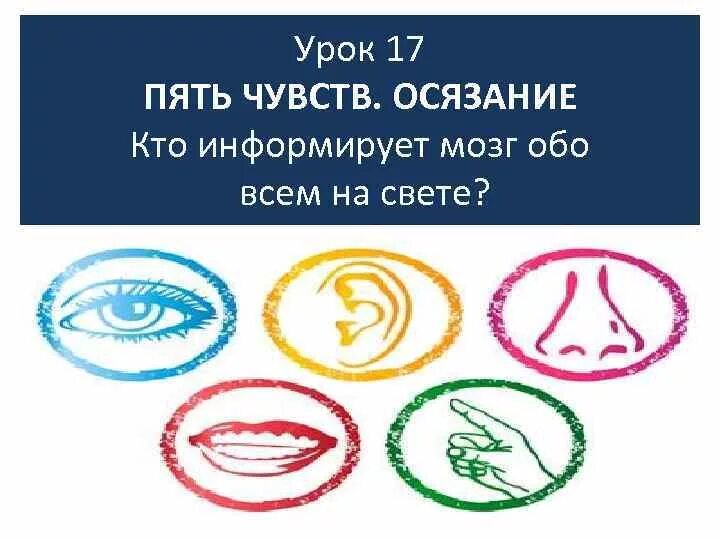 Чувствуйте все 5 чувств. Мои пять чувств. Пять чувств упоминание. Пять чувств пять женщин.