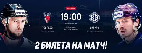 Матчи торпедо сибирь