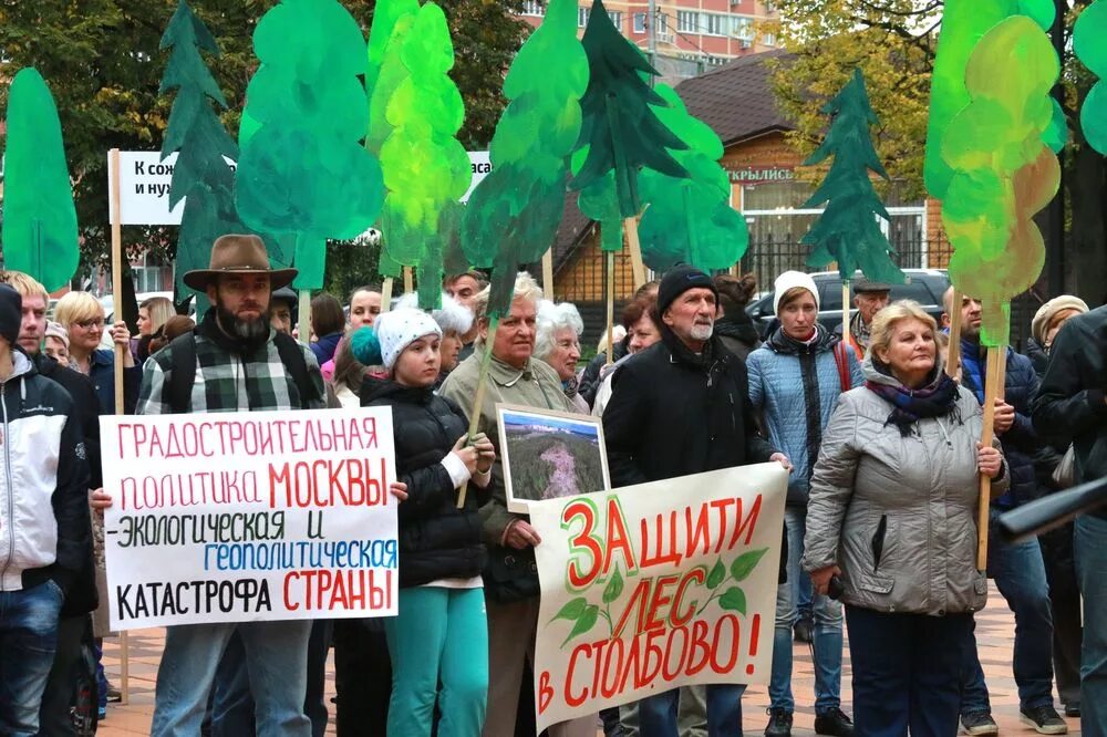 Дерево против рубки. Против вырубки деревьев. Плакат против вырубки лесов. Против вырубки леса. Лозунг против вырубки деревьев.