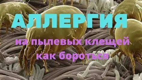 Анализ на пылевого клеща