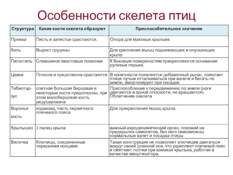 Функции отделов скелета птицы. Особенности строения и функции отделов скелета птиц. Таблица по отделам скелета птиц. Особенности строения скелета птиц. Скелет птицы строение и функции.