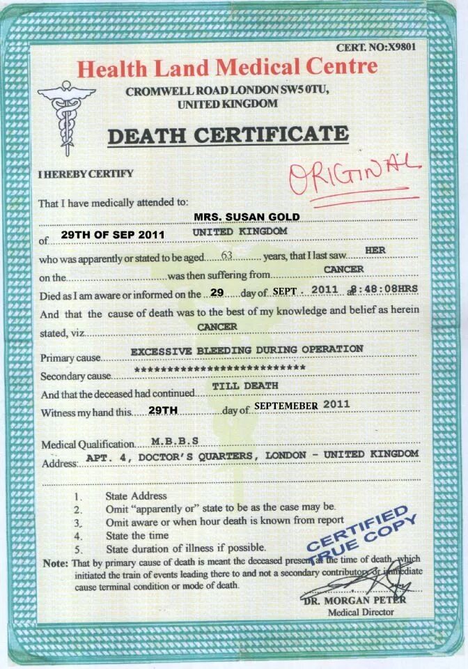 Death Certificate USA. Death Certificate Cube. Ice Cube "Death Certificate".