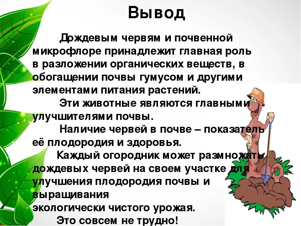 Роль дождевого червя в природе. Вывод про дождевых червей. Польза дождевых червей в природе. Вывод о червях. Польза червей