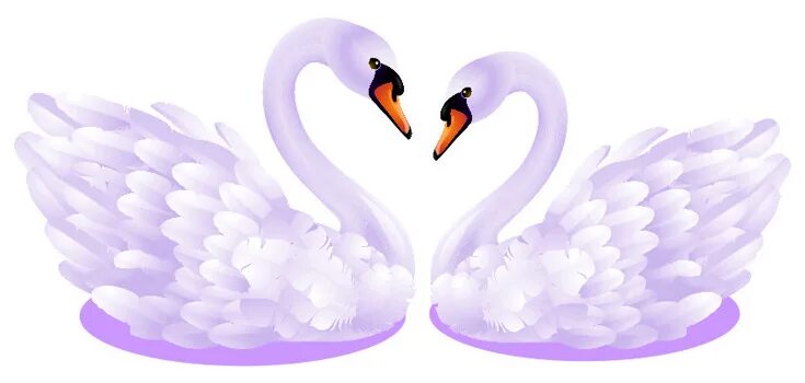 Лебедь на белом фоне. Два лебедя. Свадебные лебеди на прозрачном фоне. Лебедь для детей. Картинка лебедей на прозрачном фоне