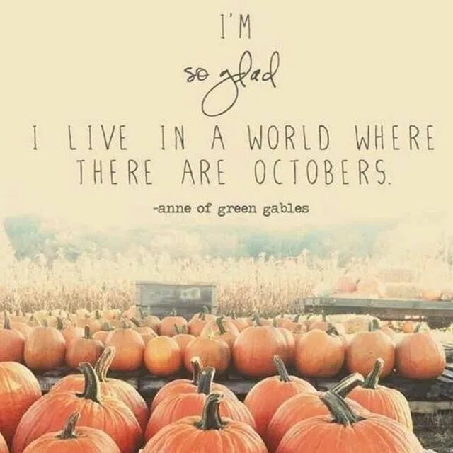 Осень тыква цитаты. Про тыкву цитаты. on october или in october. lost pumpkins. i&#039;m so glad i live in a world where there are october.