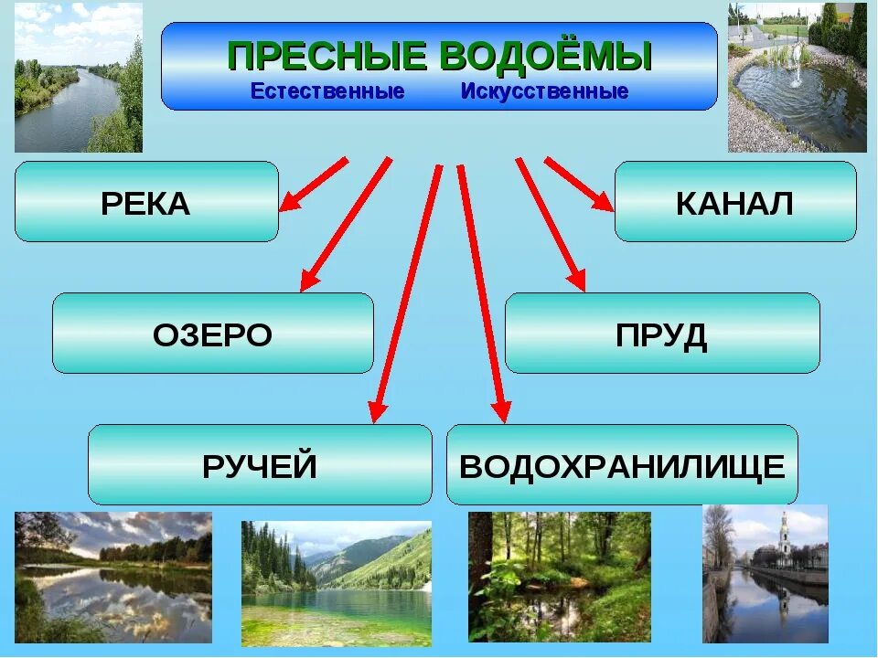 Пресные воды названия. Естественные и искуственные водоёмы. Водоемы бывают искусственные и Естественные. Пресные водоемы. Виды водоемов.