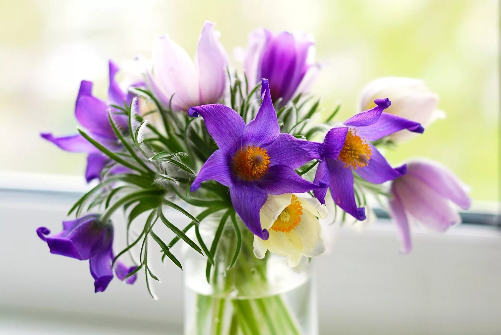 Цветы весенние картинки с днем рождения. Букет - нарциссы - анемоны. Подснежники, нарциссы и тюльпаны.. Весенний букет анемоны. Нежные весенние цветы.
