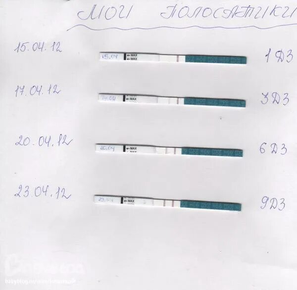 2 полоски на тесте еле видна. Тест на беременность 2 полоски еле видно. Тест на беременность еле заметная 2 полоска на тесте. Если на тесте еле видная вторая полоска. Если вторую полоску еле видео.