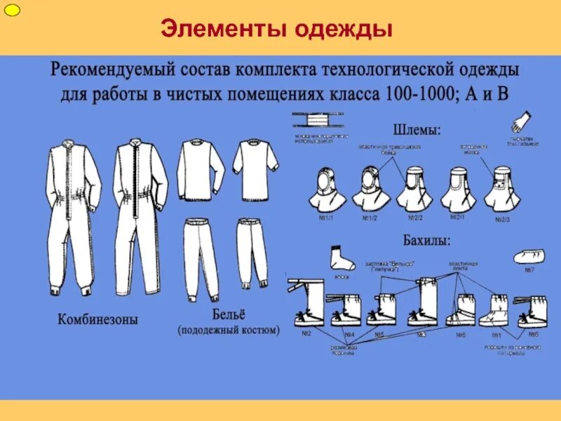 Элемент одежды это. Элементы одежды. Элементы технологической одежды. Элементы наряда. Все элементы одежды.