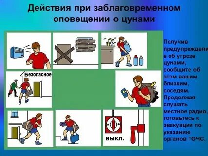 Цунами действия при чс