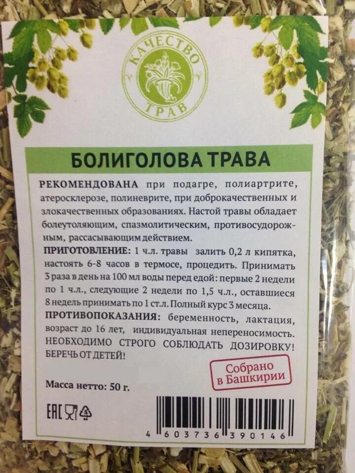 Болиголов отзывы врачей. Болиголов лекарственное растение. Трава болиголов в аптеке. Личебни трова Бали галоф. Травы применяемые при онкологии.