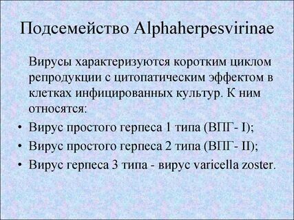 Вирусы характеризуются