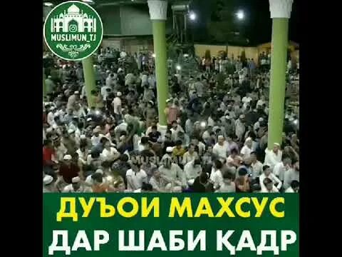 Шаби Кадр. Дуо шаби Кадр.