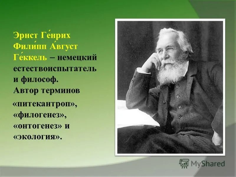 автор термина евтюмия. автор термина евтюмия. автор термина евтюмия. автор термина евтюмия. эрнст генрих геккель экология.