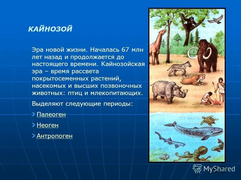 Появление кайнозойской эры. Кайнозой Эра биология. Фауна кайнозойской эры таблица. Кайнозойская Эра периоды растения.