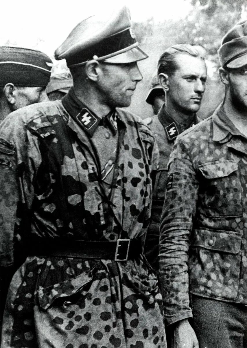 Дивизия Гогенштауфен. Waffen SS "Гитлерюгенд". 12 Дивизия СС Гитлерюгенд. 12 Танковая дивизия СС Гитлерюгенд.