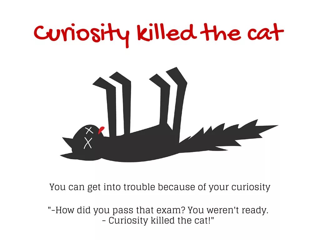 Curiosity killing the cat. Curiosity Killed the Cat русский эквивалент. Английские кошачьи идиомы. Пословица Curiosity Killed a Cat.. Curiosity Killed a Cat на русском.