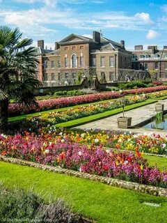 London garden