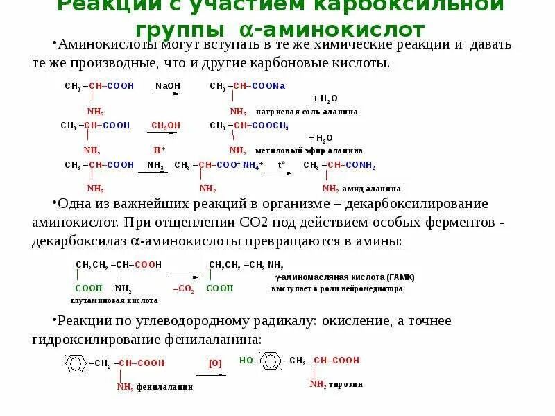 Аминоуксусная кислота уравнение реакции. Взаимодействие аминокислот с аминами реакция. В реакцию с аминокислотами вступает. Химические реакции аминокислот. Аминокислоты не вступают в реакции:.