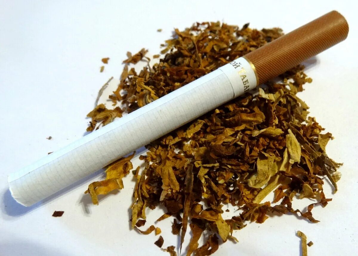 Курил турецкий табачок. Донской табак сигареты. Донской табак коричневый. Донской табак темный. Донской табак курить.