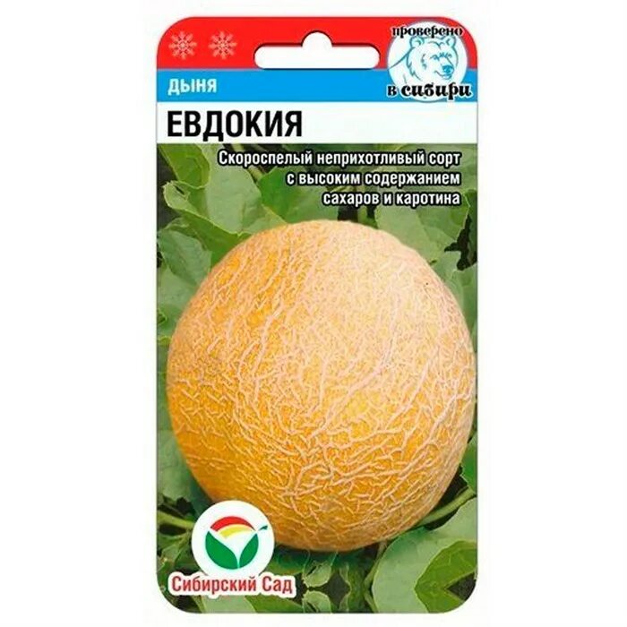 Скороспелые сорта дыни. Скороспелые сорта дыни