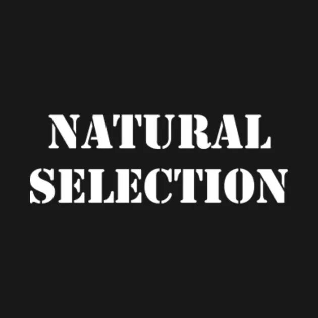 Натурал слова. Natural selection надпись. Футболка natural selection Columbine. Футболка с надписью natural selection. Wrath надпись.