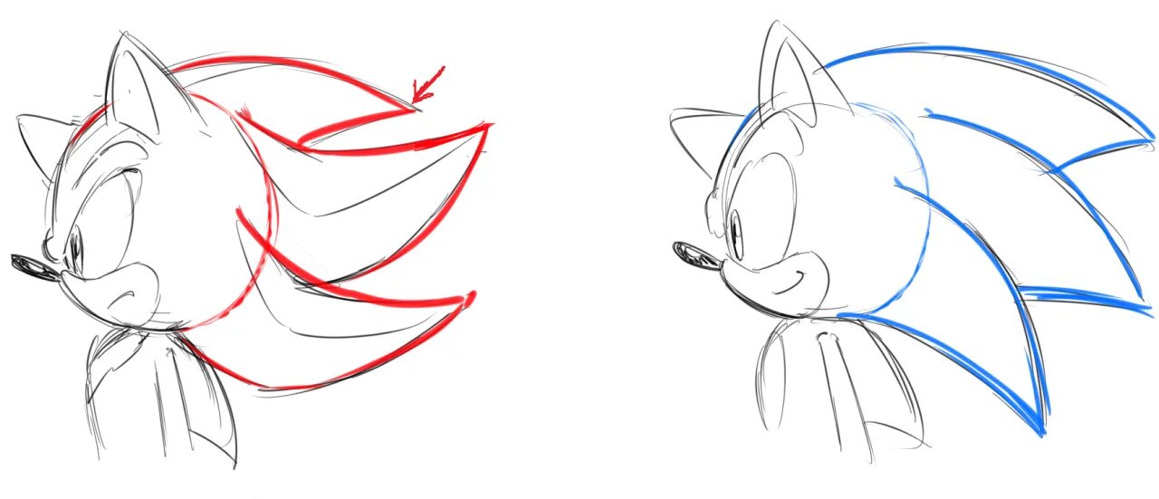 Sonic tutorial