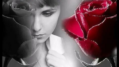 Слезы слезы любовь колючая как розы